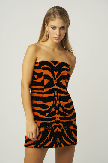 Abael Zebra Desenli Taba Mini Elbise